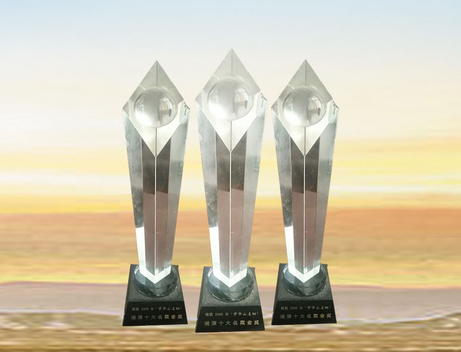 徐国斌荣获2005年梦泽上庄杯，湘潭十大名菜金奖